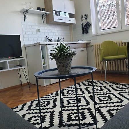 Apartman Park Jagodina-Studio U Centru Grada Free Parking Exteriör bild