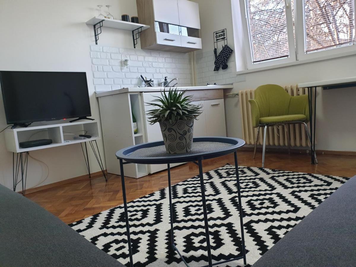 Apartman Park Jagodina-Studio U Centru Grada Free Parking Exteriör bild